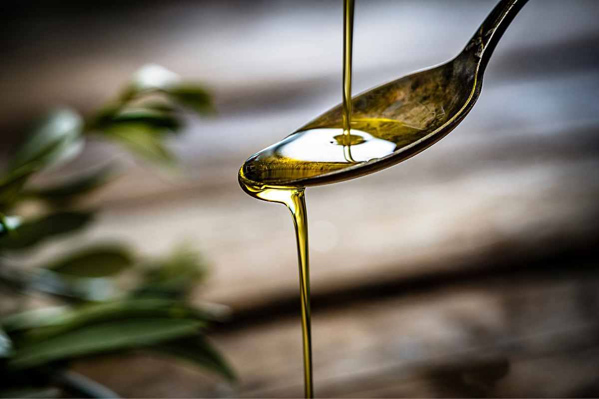 come conservare l'olio extravergine di oliva