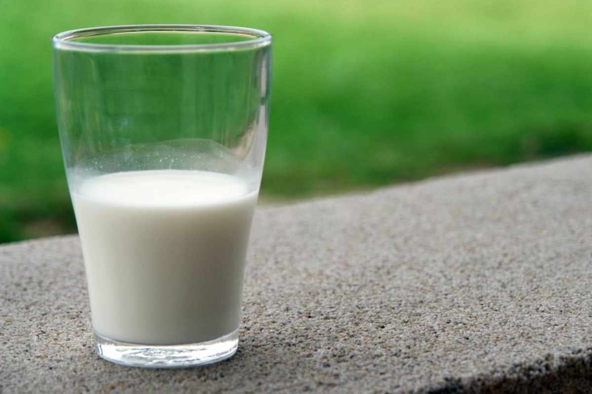 Latte contaminato dal virus H5N1 